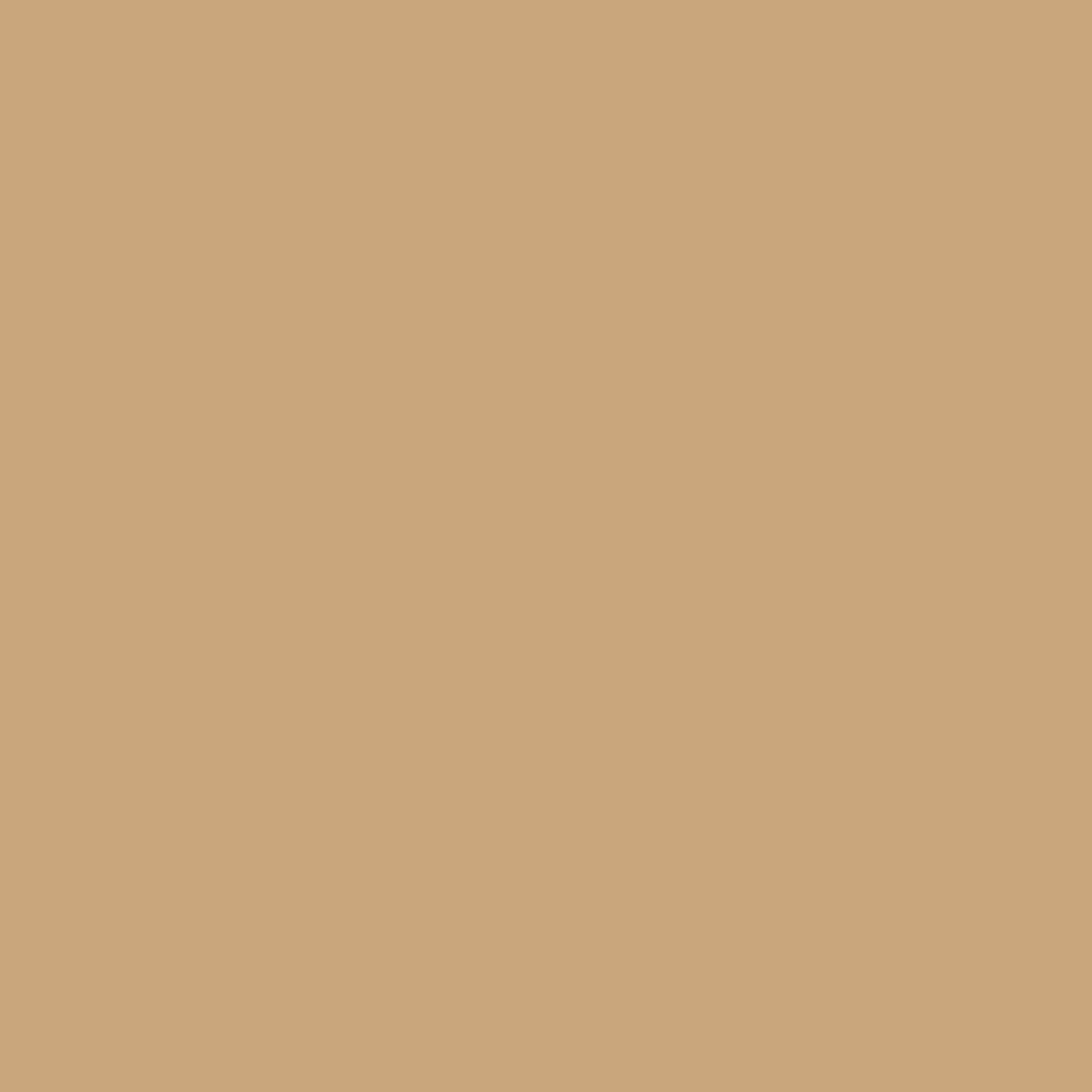 1124 Saddle Tan a Paint Color by Benjamin Moore