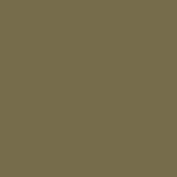 Benjamin Moore's 2148-30 Military Tan