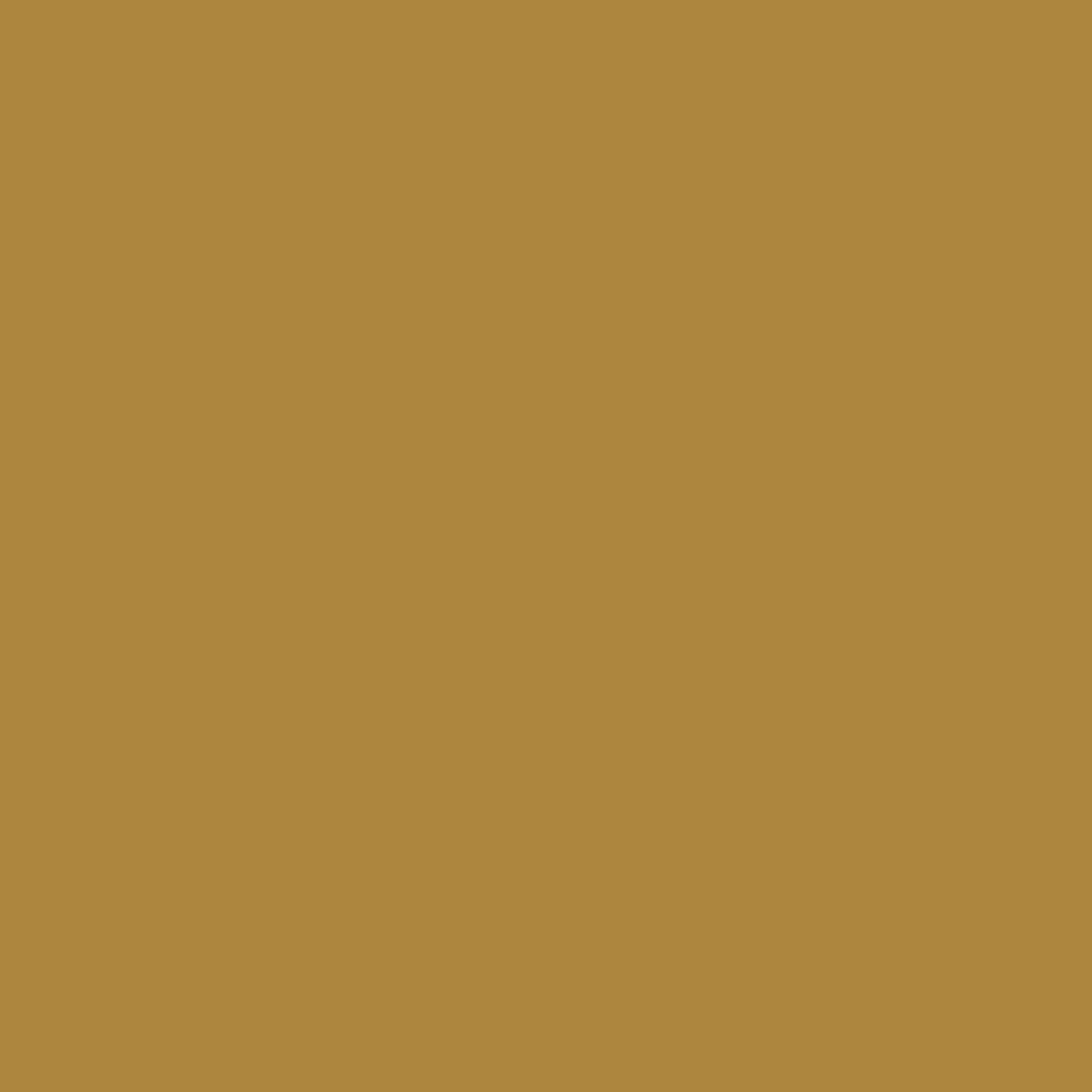 Benjamin Moore's 2162-10 Autumn Bronze